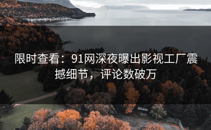 限时查看：91网深夜曝出影视工厂震撼细节，评论数破万