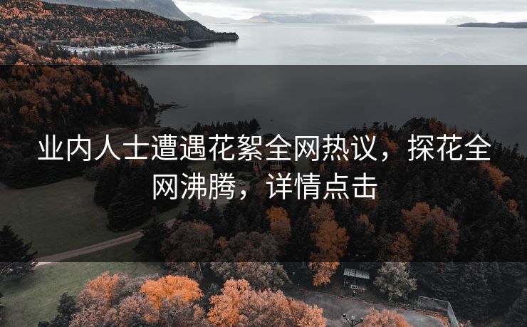 业内人士遭遇花絮全网热议，探花全网沸腾，详情点击