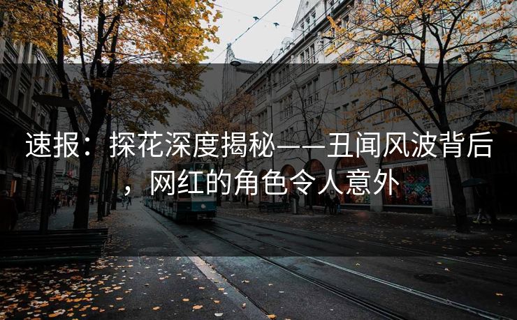 速报：探花深度揭秘——丑闻风波背后，网红的角色令人意外