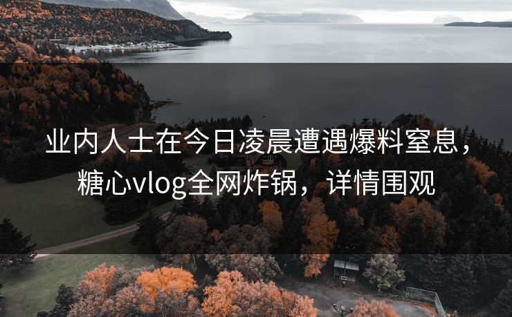 业内人士在今日凌晨遭遇爆料窒息，糖心vlog全网炸锅，详情围观