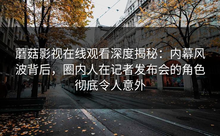 蘑菇影视在线观看深度揭秘：内幕风波背后，圈内人在记者发布会的角色彻底令人意外