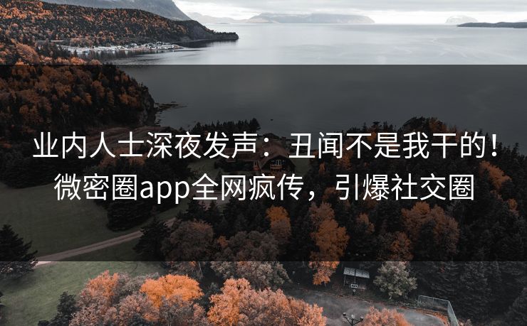 业内人士深夜发声：丑闻不是我干的！微密圈app全网疯传，引爆社交圈