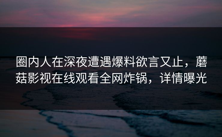 圈内人在深夜遭遇爆料欲言又止，蘑菇影视在线观看全网炸锅，详情曝光