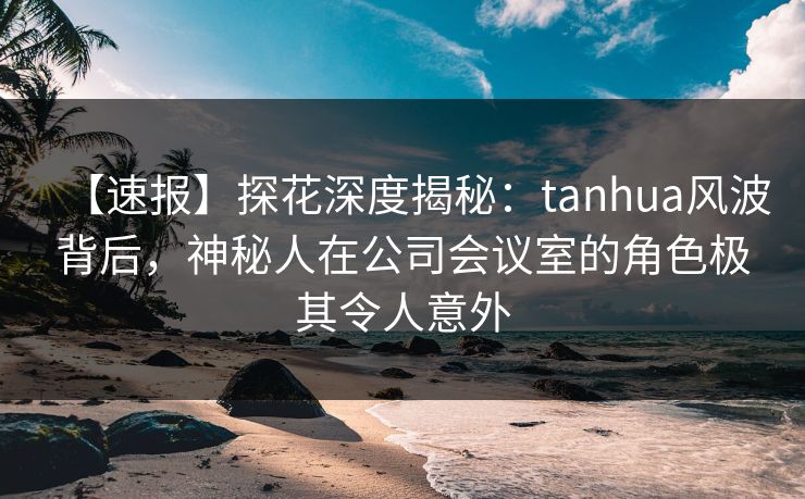 【速报】探花深度揭秘：tanhua风波背后，神秘人在公司会议室的角色极其令人意外