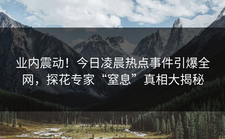 业内震动！今日凌晨热点事件引爆全网，探花专家“窒息”真相大揭秘