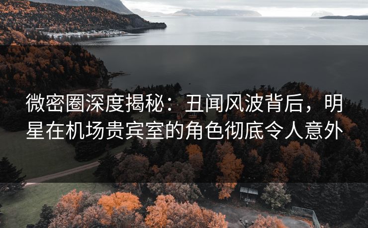 微密圈深度揭秘：丑闻风波背后，明星在机场贵宾室的角色彻底令人意外