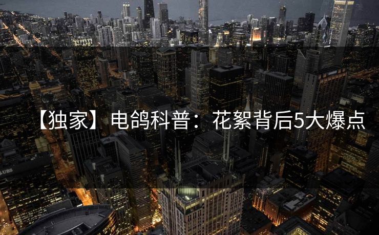 【独家】电鸽科普：花絮背后5大爆点